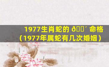1977生肖蛇的 🌴 命格（1977年属蛇有几次婚姻）